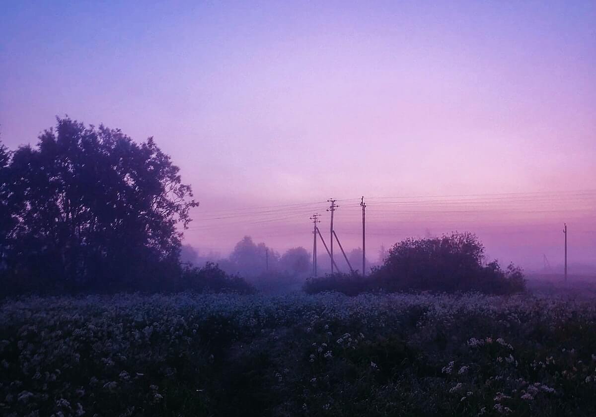 娇子宽窄国宝细支香烟价格表2024 娇子宽窄国宝细支香烟价格表2024 